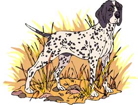 smartest hunting dogs